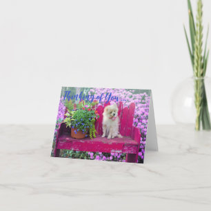 Pomeranian hond kaart binnenkant blanco Denk aan J