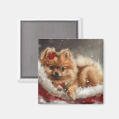 Pomeranian Hond Kerst Festiviteit Magneet (Voorkant / Achterkant)