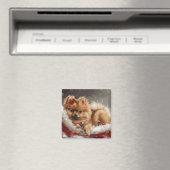 Pomeranian Hond Kerst Festiviteit Magneet (Insitu (Vaatwasser))