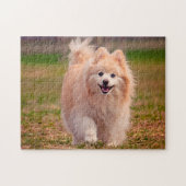 Pomeranian hond. legpuzzel (Horizontaal)