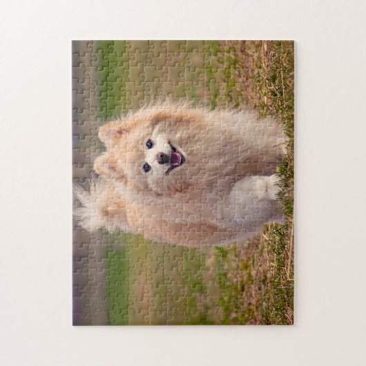 Pomeranian hond. legpuzzel (Verticaal)