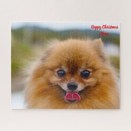 Pomeranian hond. legpuzzel (Horizontaal)