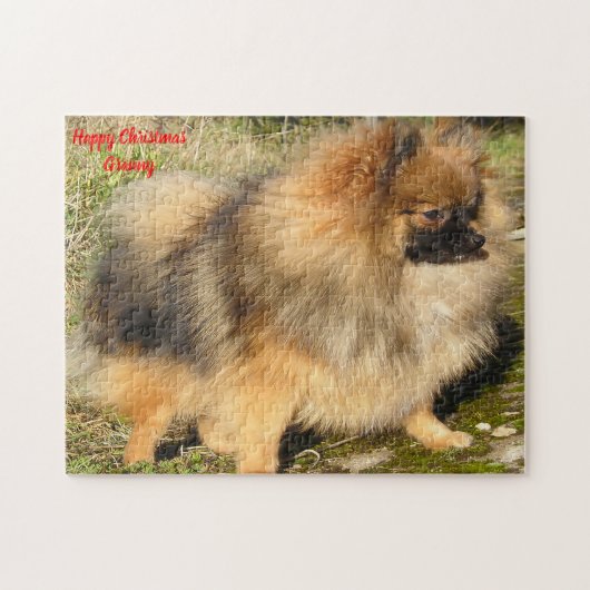 Pomeranian hond. legpuzzel (Horizontaal)