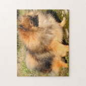 Pomeranian hond. legpuzzel (Verticaal)