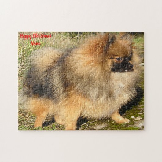 Pomeranian hond. legpuzzel (Horizontaal)