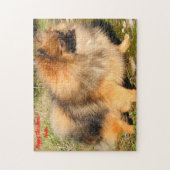 Pomeranian hond. legpuzzel (Verticaal)