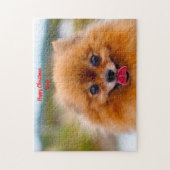 Pomeranian hond. legpuzzel (Verticaal)
