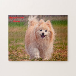 Pomeranian hond. legpuzzel