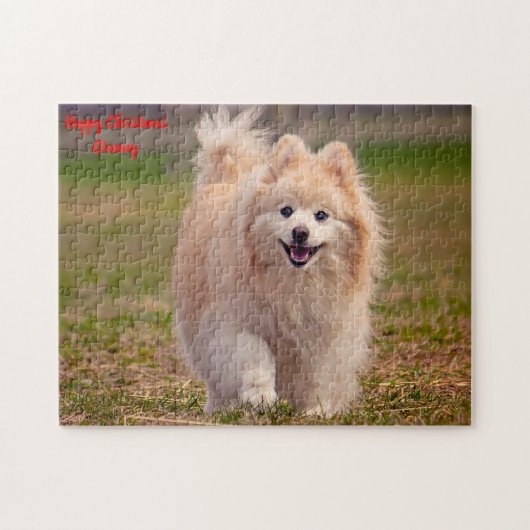 Pomeranian hond. legpuzzel (Horizontaal)