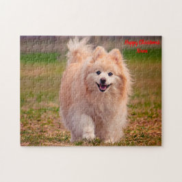 Pomeranian hond. legpuzzel