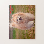 Pomeranian hond. legpuzzel (Verticaal)
