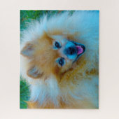 Pomeranian hond. legpuzzel (Verticaal)
