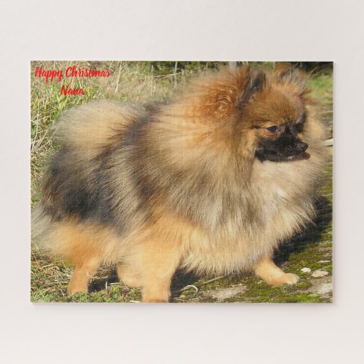 Pomeranian hond. legpuzzel (Horizontaal)