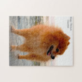 Pomeranian hond. legpuzzel (Horizontaal)