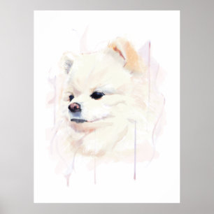 Pomeranian hond muurposter, Aquarelschildering Poster