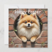 Pomeranian hond - Pasen Feestdagenkaart (Achterkant)