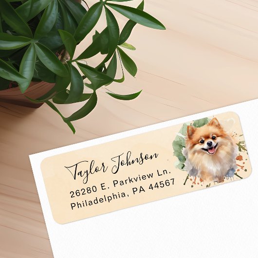 Pomeranian-hond retouradreslabel etiket