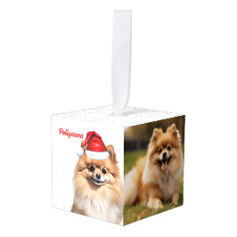 Pomeranian hond twee foto's Kerstvakantie Decoratie