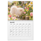 Pomeranian Honden Kalender (Mar 2027)
