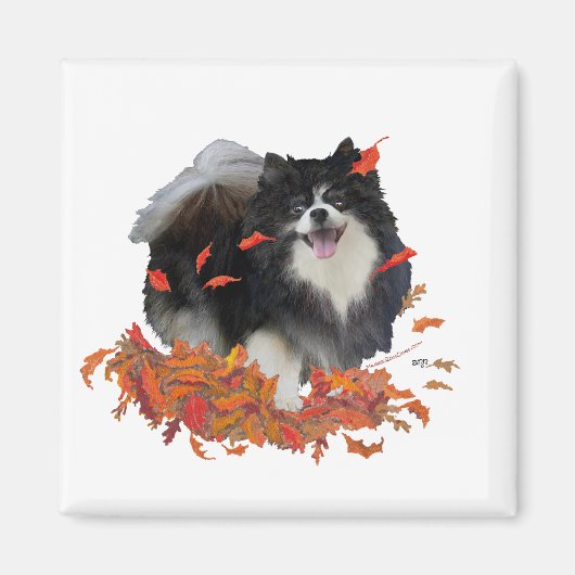 Pomeranian in de herfst magneet (Voorkant)