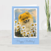 Pomeranian in Madeliefjes die - het Originele Art. Kaart (Voorkant)