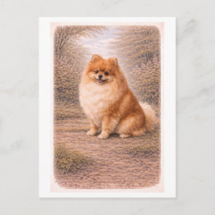Pomeranian in vintage stijl briefkaart