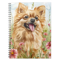 Pomeranian Journaal – Notities voor hondenmoeders