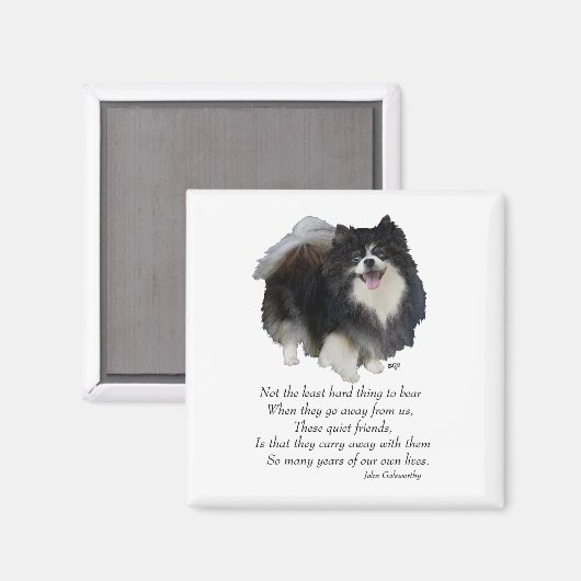 Pomeranian Keepomwille Male Magneet (Voorkant / Achterkant)