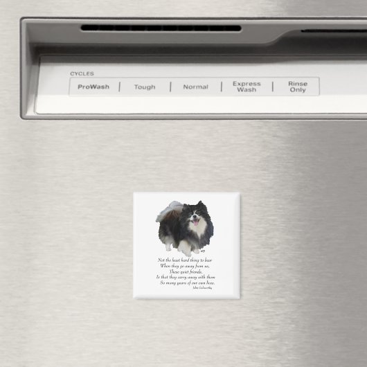 Pomeranian Keepomwille Male Magneet (Insitu (Vaatwasser))