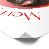 Pomeranian Kerst Poster (Hoek)