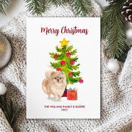 Pomeranian Kerstkaart