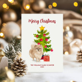 Pomeranian Kerstkaart