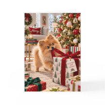 Pomeranian Kerstkaart Pom Kerstkaart