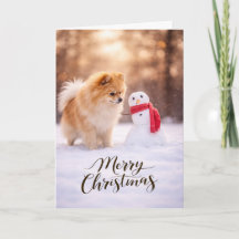 Pomeranian Kerstsneeuwman