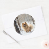 Pomeranian Laat het Sneeuwen Kerstmis Ronde Sticker (Envelop)