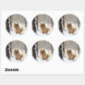 Pomeranian Laat het Sneeuwen Kerstmis Ronde Sticker (Vel)