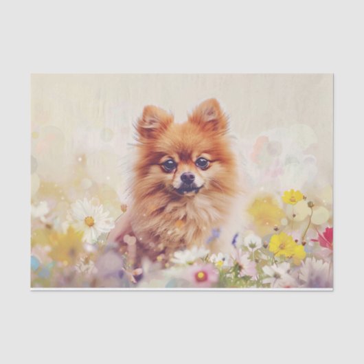 Pomeranian Lente Wilde Bloemen Decoupage Tissuepapier (Voorkant)