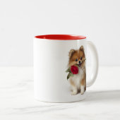 Pomeranian Liefde Tweekleurige Koffiemok (Voorkant rechts)