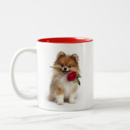 Pomeranian Liefde Tweekleurige Koffiemok