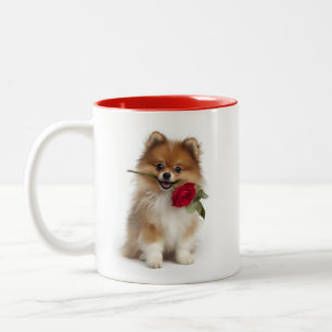Pomeranian Liefde Tweekleurige Koffiemok