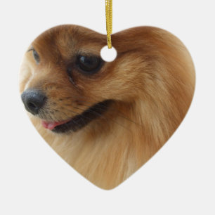 Pomeranian Lover Keramisch Ornament