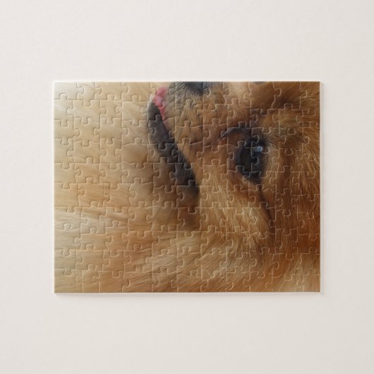 Pomeranian Lover Legpuzzel (Horizontaal)
