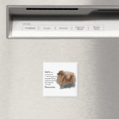 Pomeranian Lovers Gifts Magneet (Insitu (Vaatwasser))