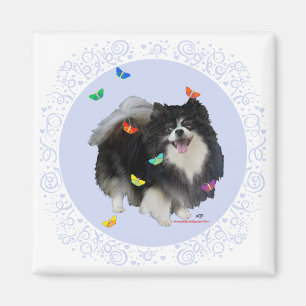 Pomeranian met Vlinders Magneet