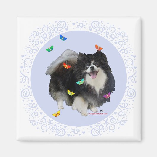Pomeranian met Vlinders Magneet (Voorkant)