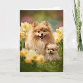 Pomeranian Moeder Moederdag Liefde Kaart (Voorkant)