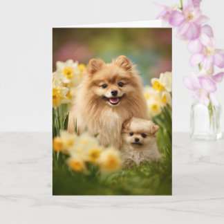 Pomeranian Moeder Moederdag Liefde Kaart