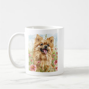 Pomeranian mok