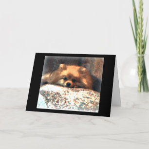 Pomeranian Notecard Kaart