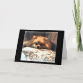 Pomeranian Notecard Kaart (Voorkant)